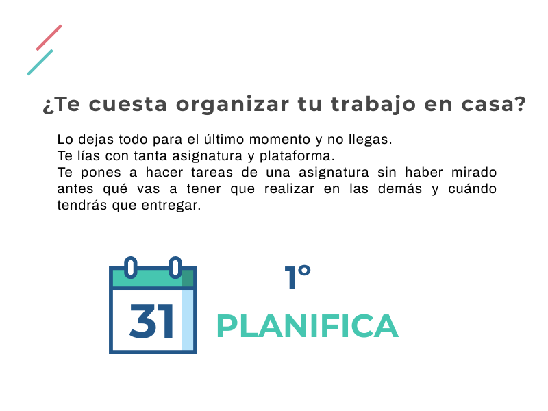 ORGANIZACIÓN DEL TRABAJO