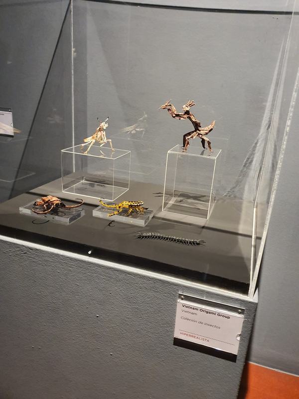 MUSEO DEL ORIGAMI Y ZARAGOZA MEDIEVAL. CURSO 2023-24