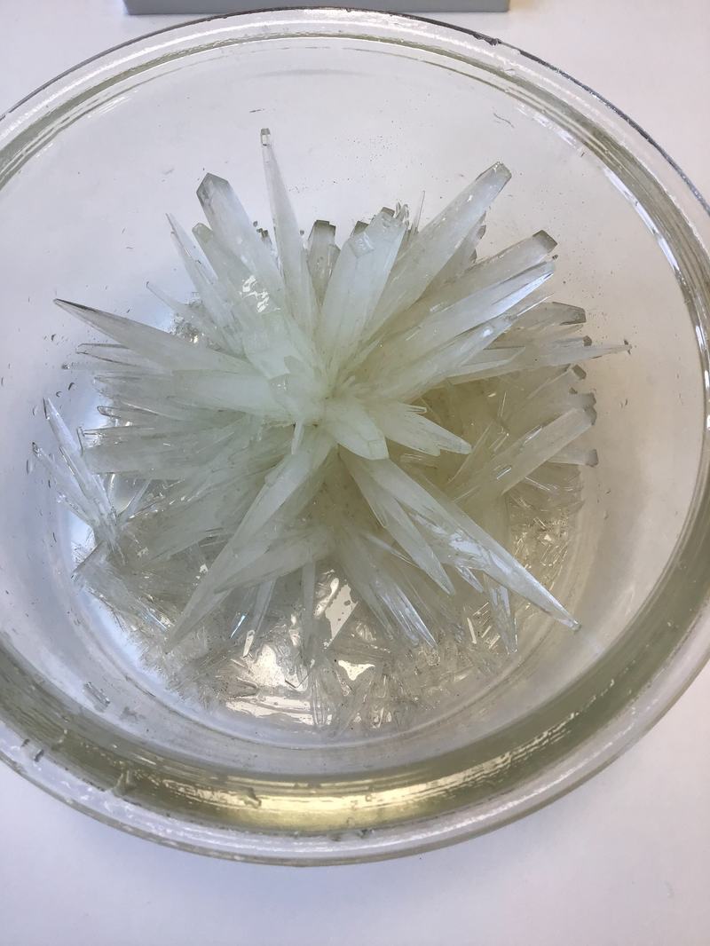 Últimos experimentos de cristalización (4º ESO)