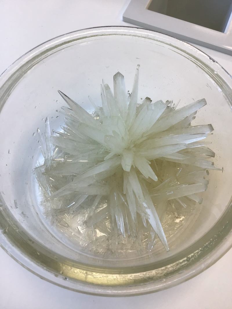 Últimos experimentos de cristalización (4º ESO)