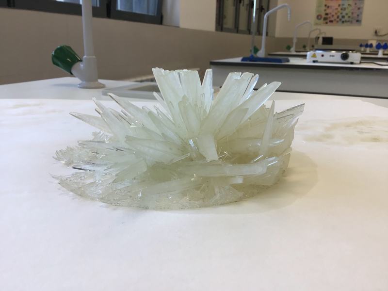 Últimos experimentos de cristalización (4º ESO)