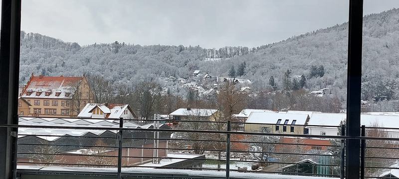 SCHÜLERAUSTAUSCH in AMORBACH